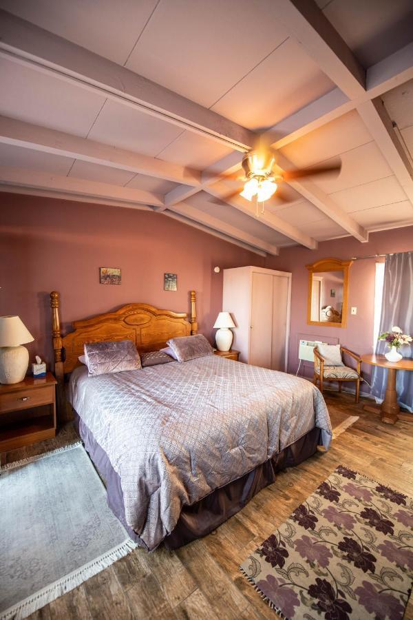 Harmony Motel Twentynine Palms Esterno foto